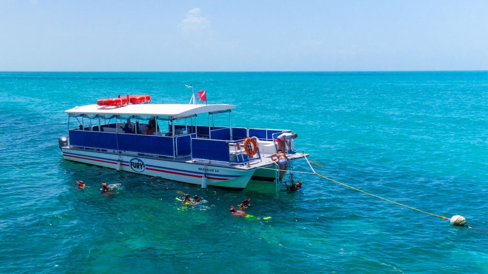 Dolphin Watch & Snorkeling Tour