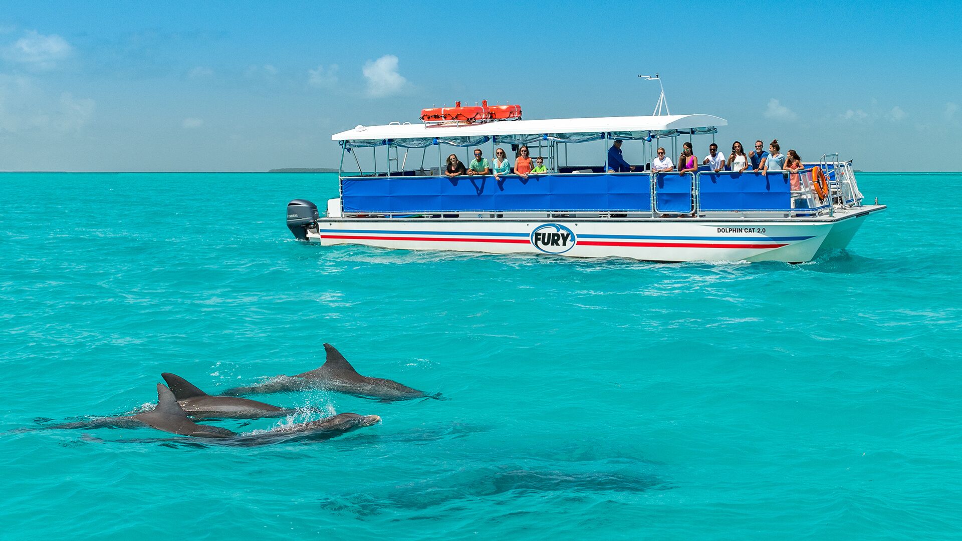 the voyager dolphin watch tour