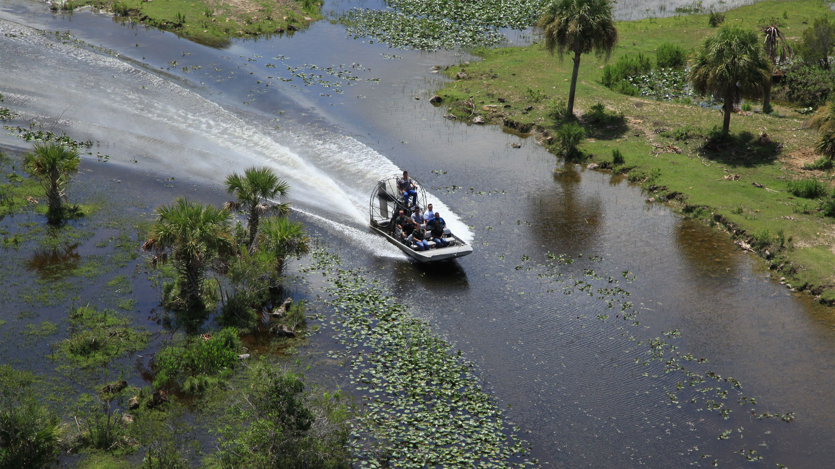 billy's swamp boat tours