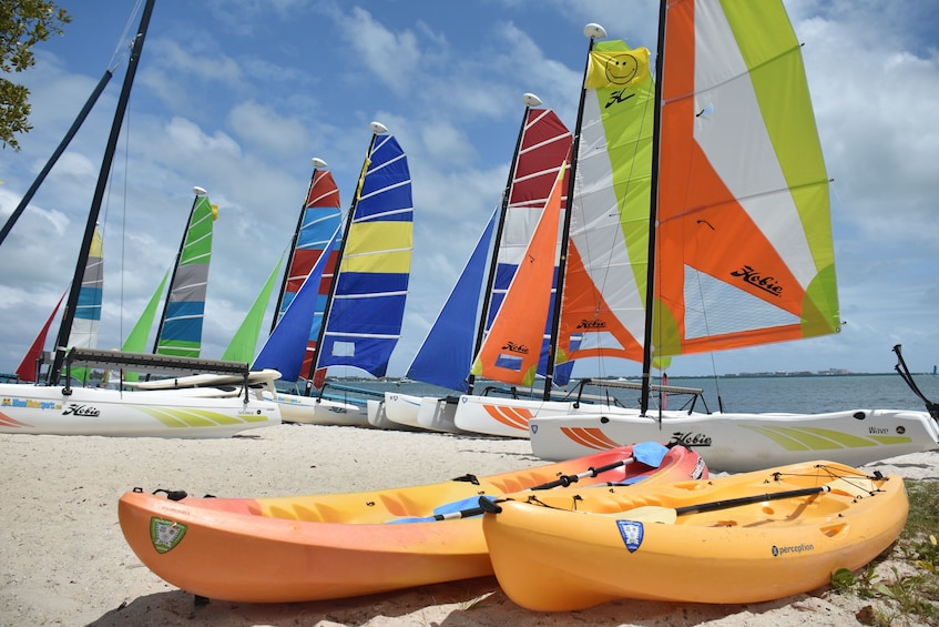 Paddle Sports with Miami Watersports