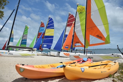 邁阿密水上運動的划槳運動
