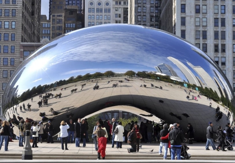 BEST Chicago Full-day City Tour 