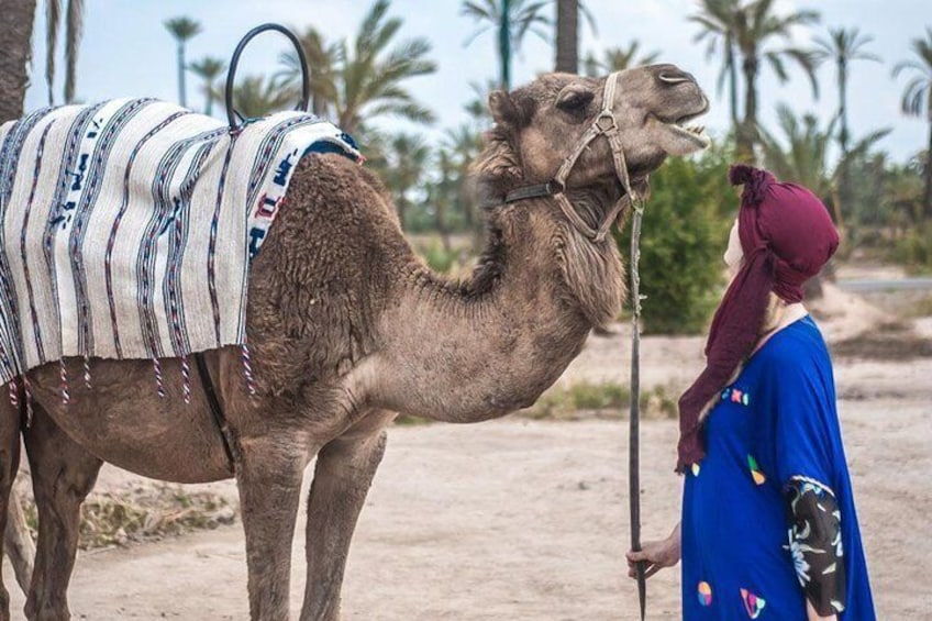 Agadir Sunset Camel Ride with dinner
