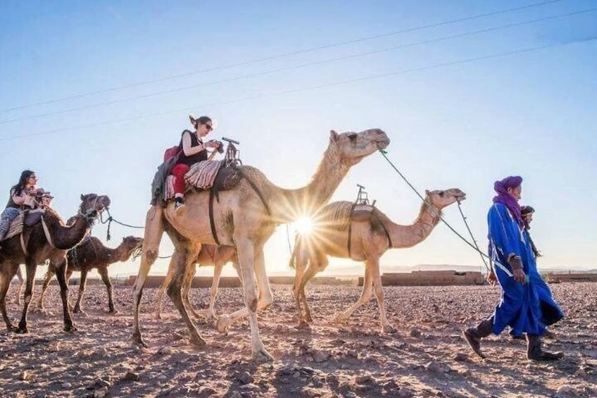 Agadir Sunset Camel Ride with dinner