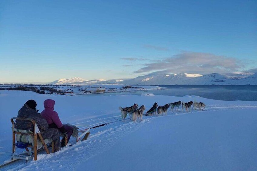 Dogsledding, near Akureyri