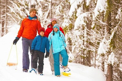 Self-Guided Snow Shoe Tours