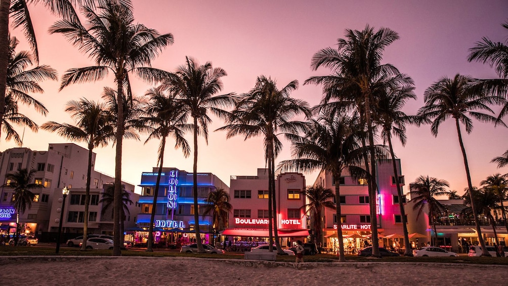 Go Miami All-Inclusive: 28 Top Attractions on 1 Pass