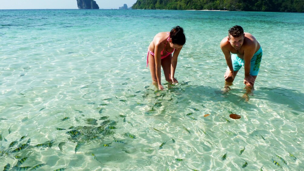 people wading in thailand