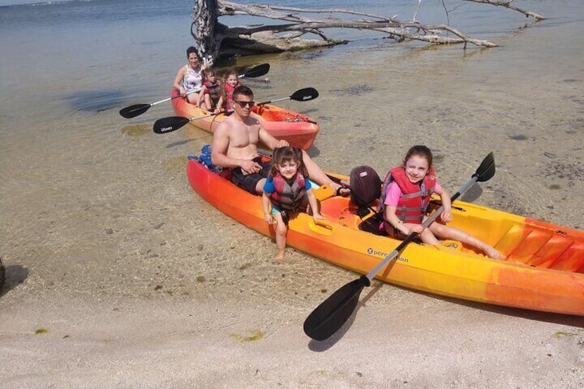 Guided Kayak Tour with Dolphin Sightings