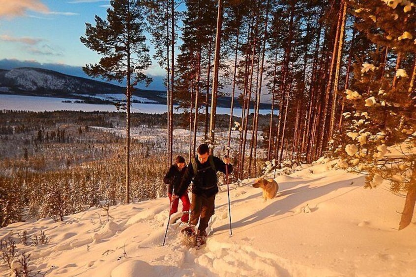 Snowshoe Hike into Lapland's White Wilderness