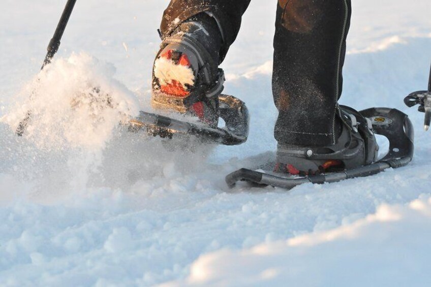 Snowshoeing is easy for everyone