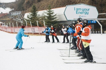 Private 1:1 Ski Lesson near Seoul, South Korea