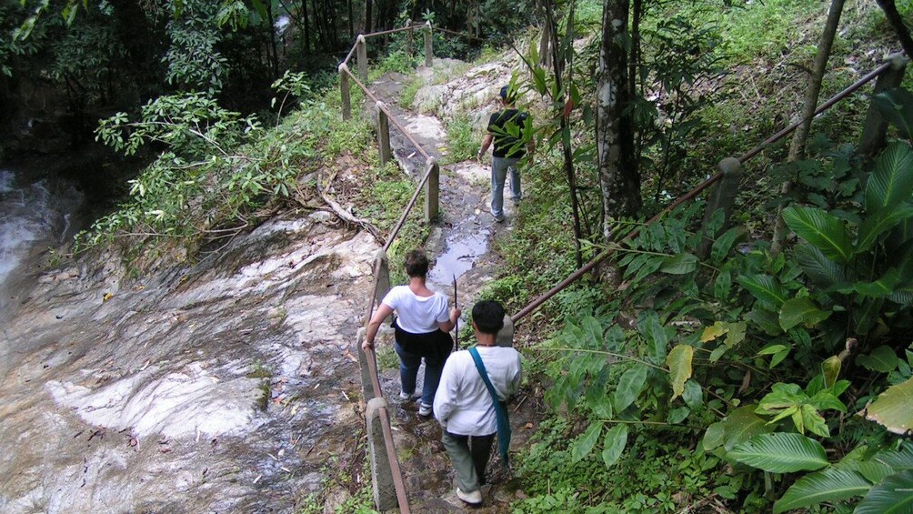 Walking trail in Chiang Mai