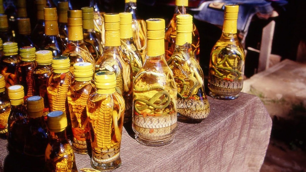 snakes in bottles in Chiang Rai