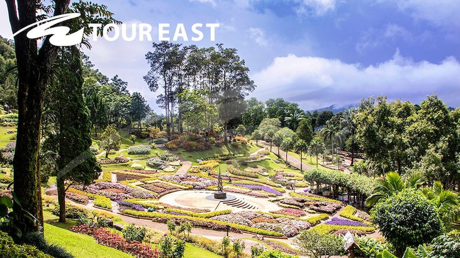 Doi Tung & Royal Villa Half-Day Tour