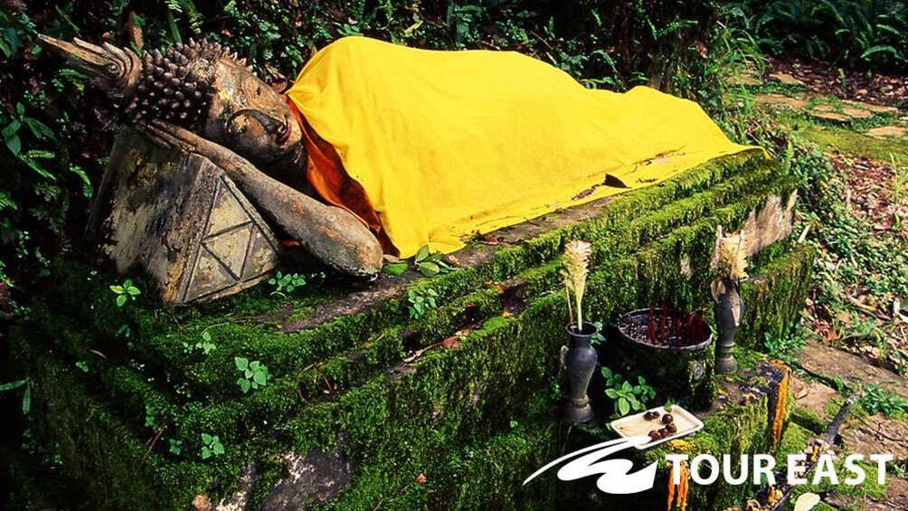 Doi Tung & Royal Villa Half-Day Tour