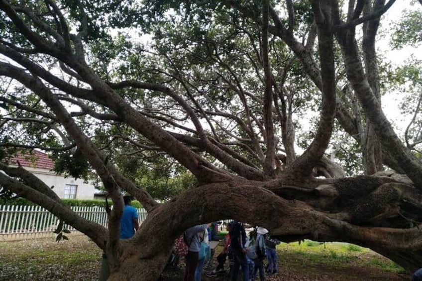 Show item 1 of 4. A day in Gaborone and Nature Tour