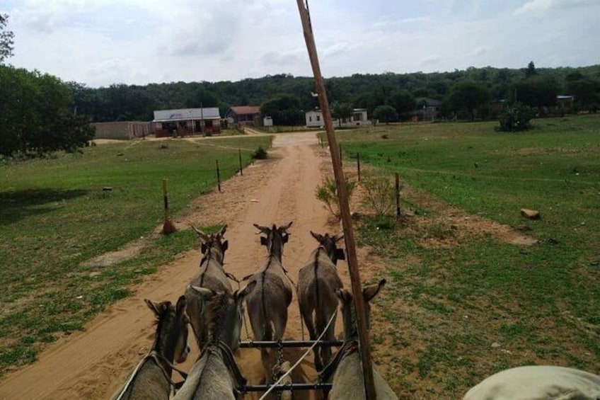 Show item 4 of 4. A day in Gaborone and Nature Tour