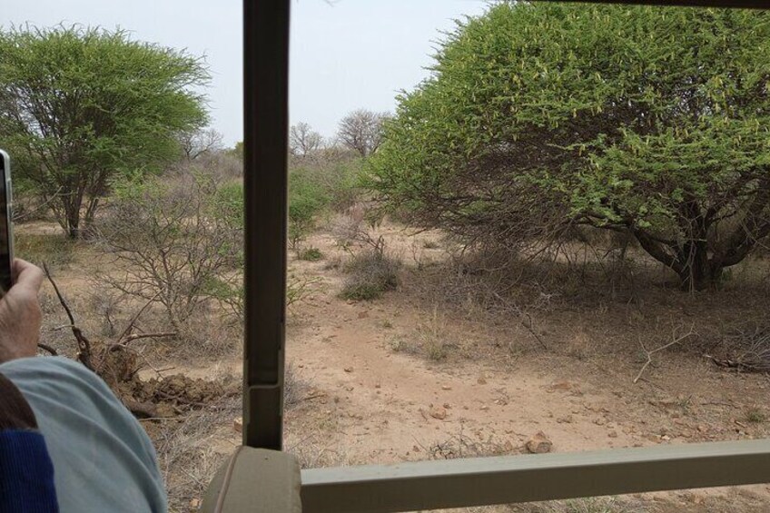 Touring through nature and history near Gaborone
