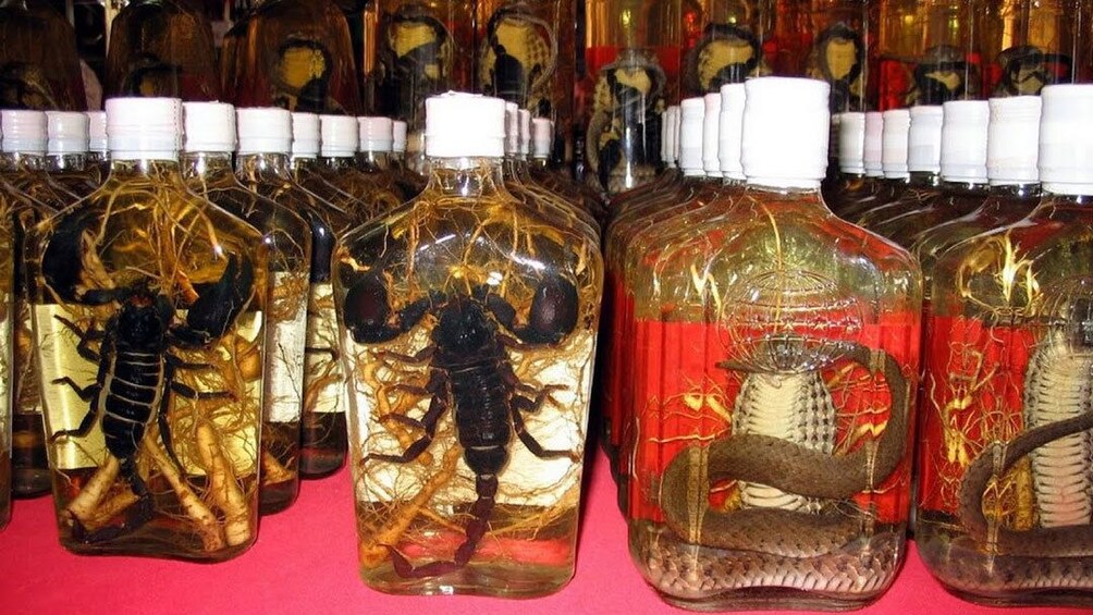 Scorpions and snakes in jars in Chiang Rai