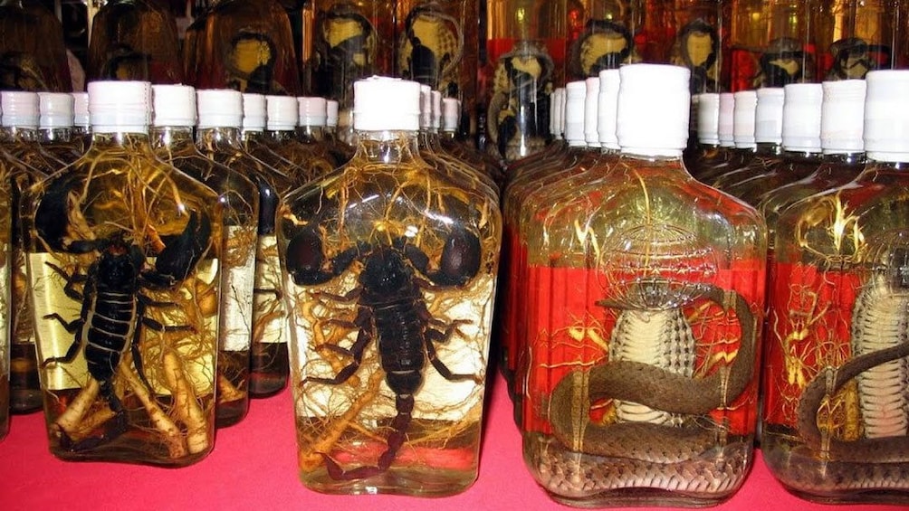 Scorpions and snakes in jars in Chiang Rai