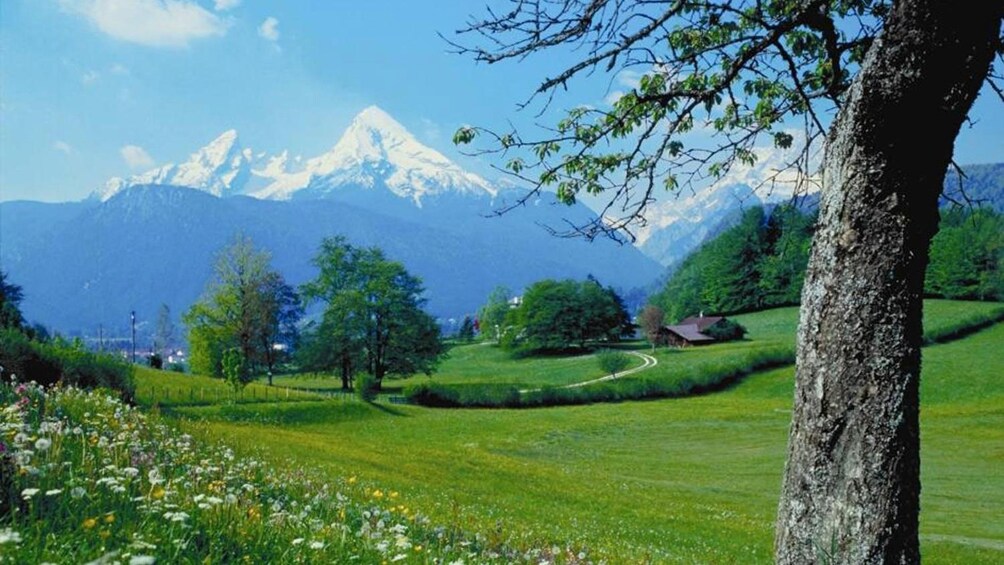 Foto 5 von 5 laden Alps and greenery in Berchtesgaden