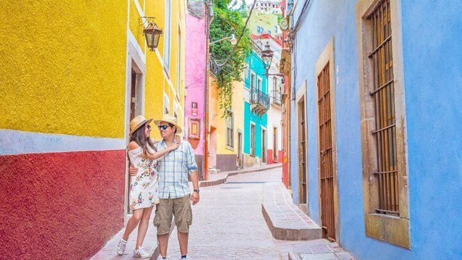 Guanajuato Private Diego Rivera and Frida Kahlo Tour