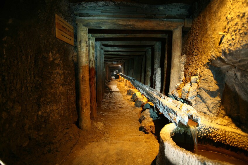 Activity Wieliczka Salt Mine Tour