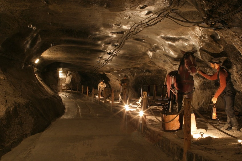 Activity Wieliczka Salt Mine Tour
