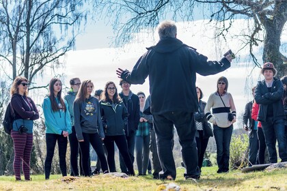 Viking History Extended Tour to Uppsala