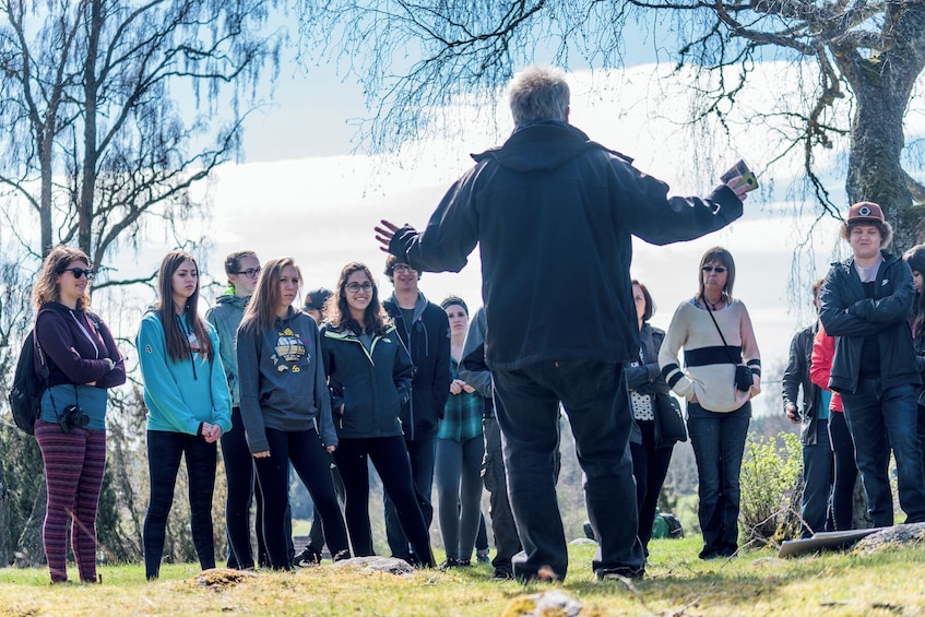 Viking History Extended Tour to Uppsala