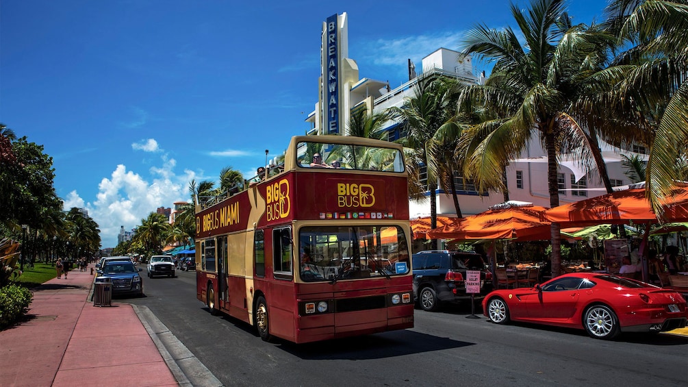 Double decker bus traveling down the road in Miami