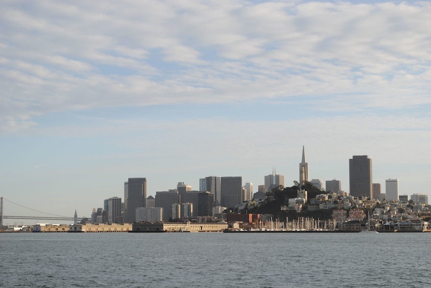 San Francisco Hop-On Hop-Off Big Bus Tour