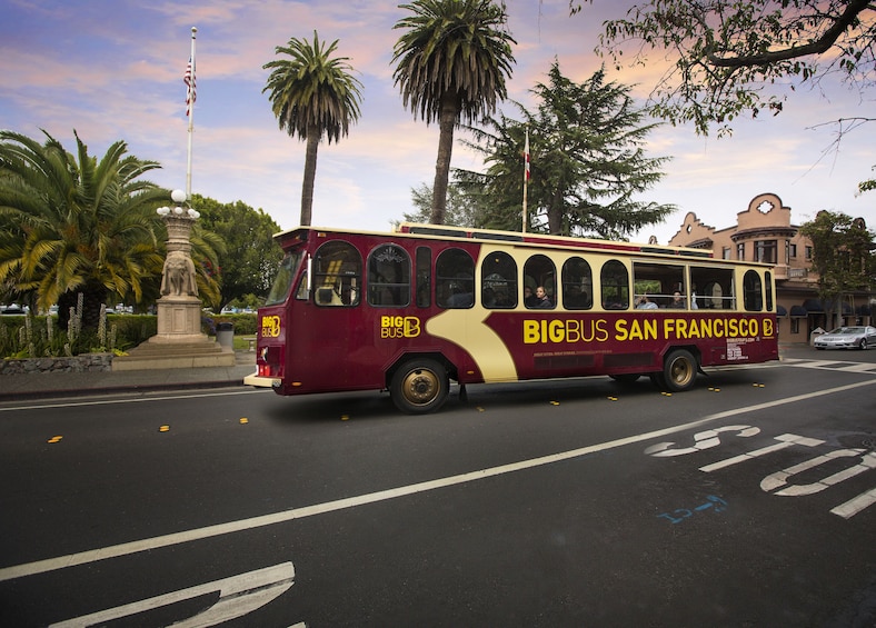 san francisco night tour bus