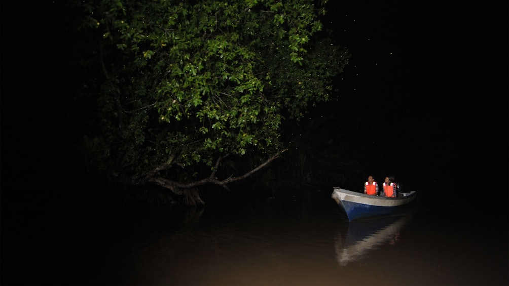 Show item 3 of 8. Boat in the darkness search for fireflies in Kuala Lumpur