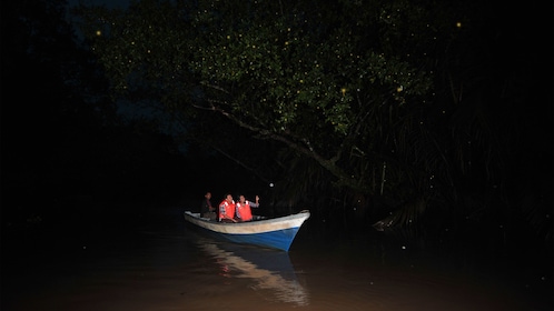 Funkelnde Glühwürmchen und Nachttour mit Abendessen nach Kuala Selangor.