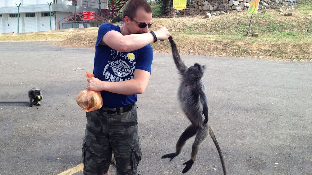 man with monkey in kuala lumpur