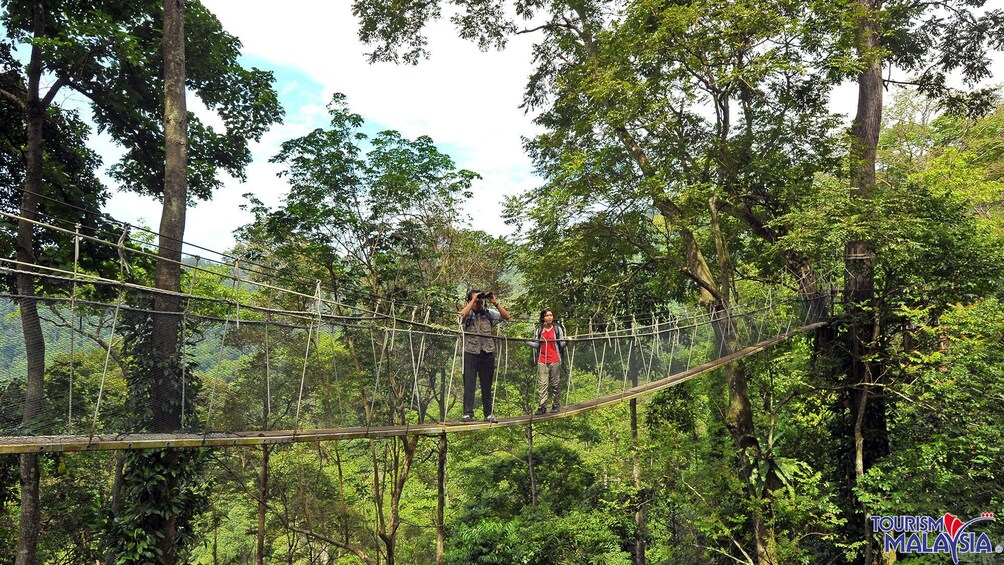 rope bridge in kuala lumpur