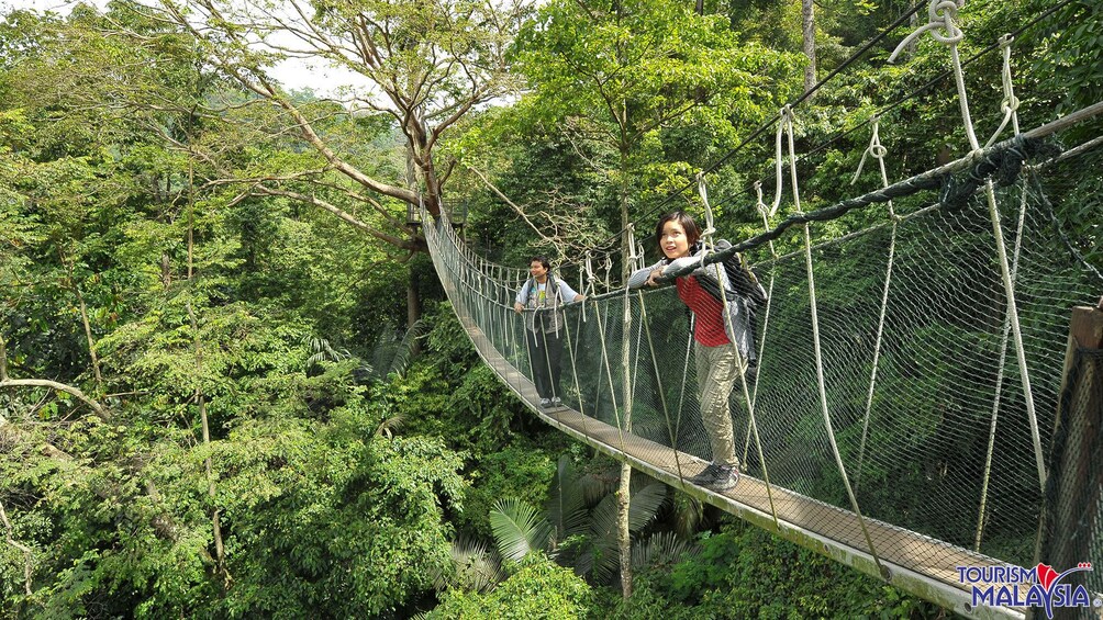 rope bridge in kuala lumpur