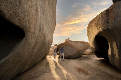 Kangaroo Island Ganztagestour ab Adelaide mit Fähre zurück