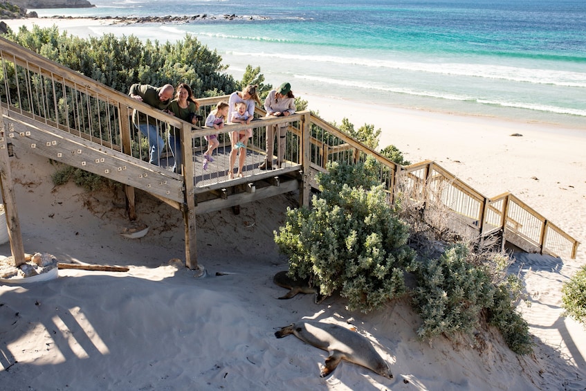 Kangaroo Island Full-Day Tour from Adelaide with Return Ferry