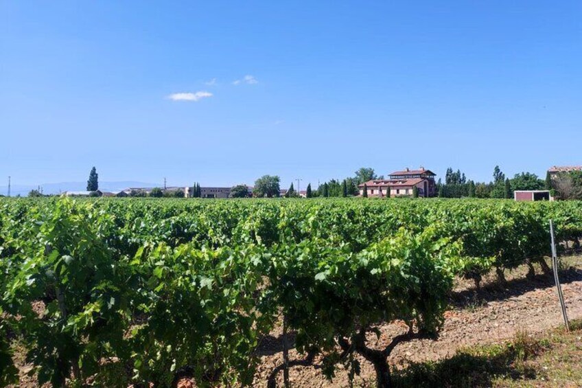 Transport to La Rioja, with two wine cellar visits, and a tour of La Guardia
