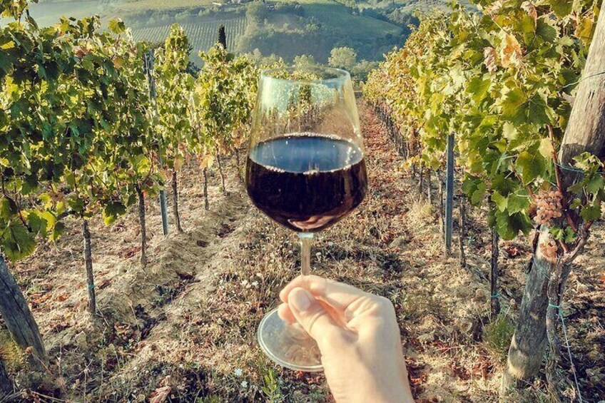 Transport to La Rioja, with two wine cellar visits, and a tour of La Guardia