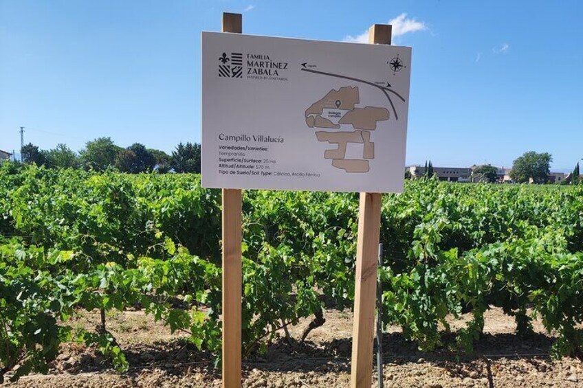 Transport to La Rioja, with two wine cellar visits, and a tour of La Guardia