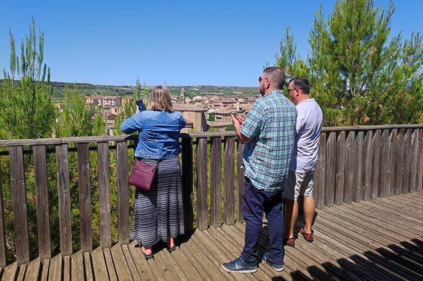 Transport to La Rioja, with two wine cellar visits, and a tour of La Guardia