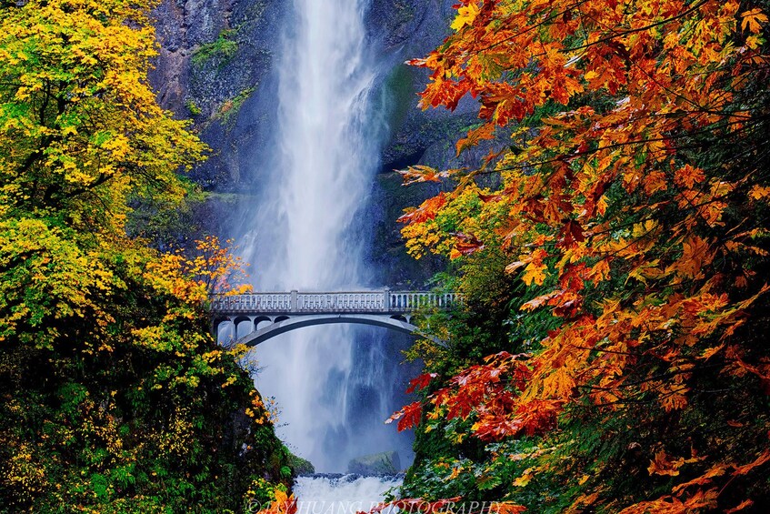 Columbia Gorge Wine & Waterfall Afternoon Tour from Portland