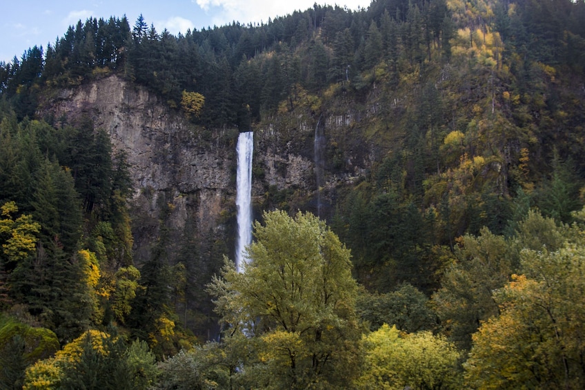 Columbia Gorge Wine & Waterfall Afternoon Tour from Portland