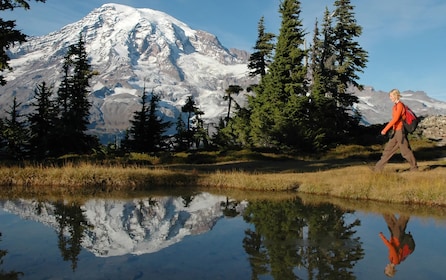 Mt. Rainier National Park: All-Inclusive Small-Group Tour
