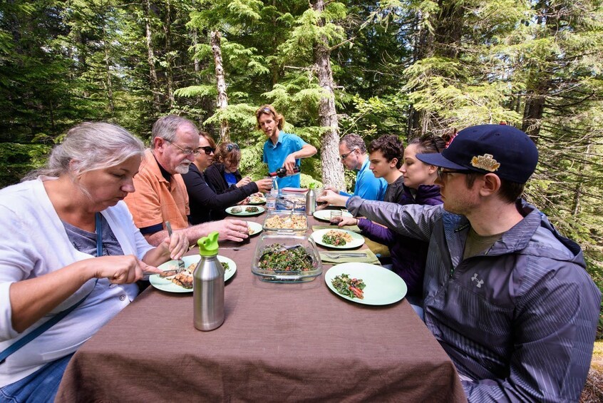 Mt. Rainier National Park: All-Inclusive Small-Group Tour