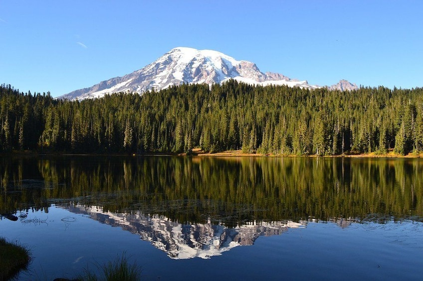 Mt. Rainier National Park: All-Inclusive Small-Group Tour